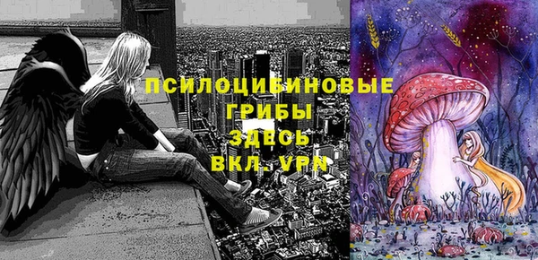 дмт Абинск