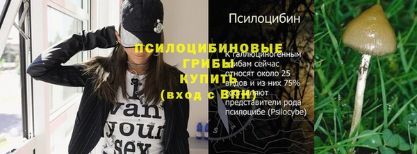 эйфоретик Абаза